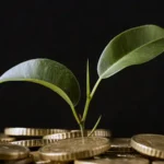 Comparação entre dinheiro desvalorizando em casa e investimento seguro em CDB protegido por escudo.