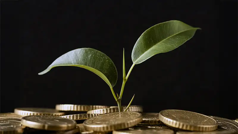 Comparação entre dinheiro desvalorizando em casa e investimento seguro em CDB protegido por escudo.